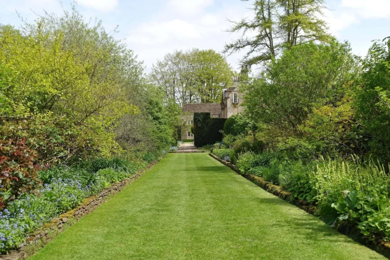 Hedge Trimming by Canopy & Crown Tree Care