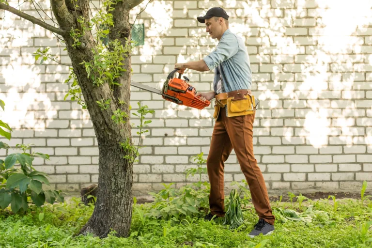 Tree Topping project 3 — Canopy & Crown Tree Care